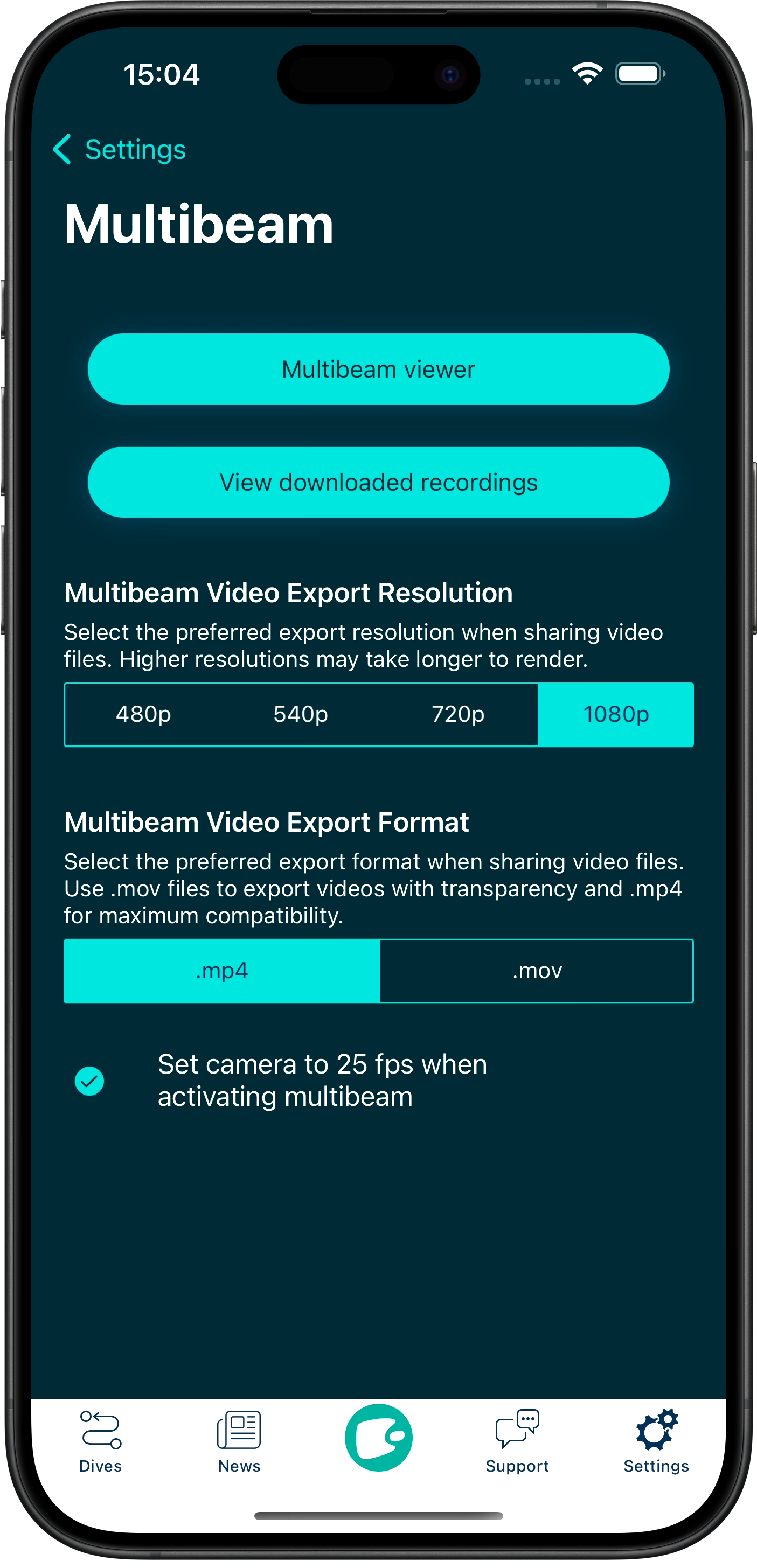 Multibeam Export Options.png