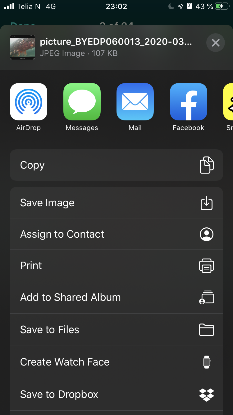 iOS Screenshot of sharing a media file