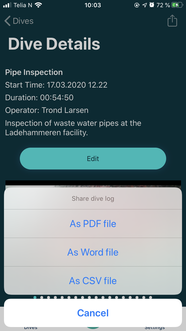 iOS Screenshot of sharing format selection