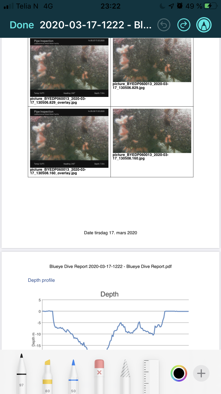iOS Screenshot of PDF report