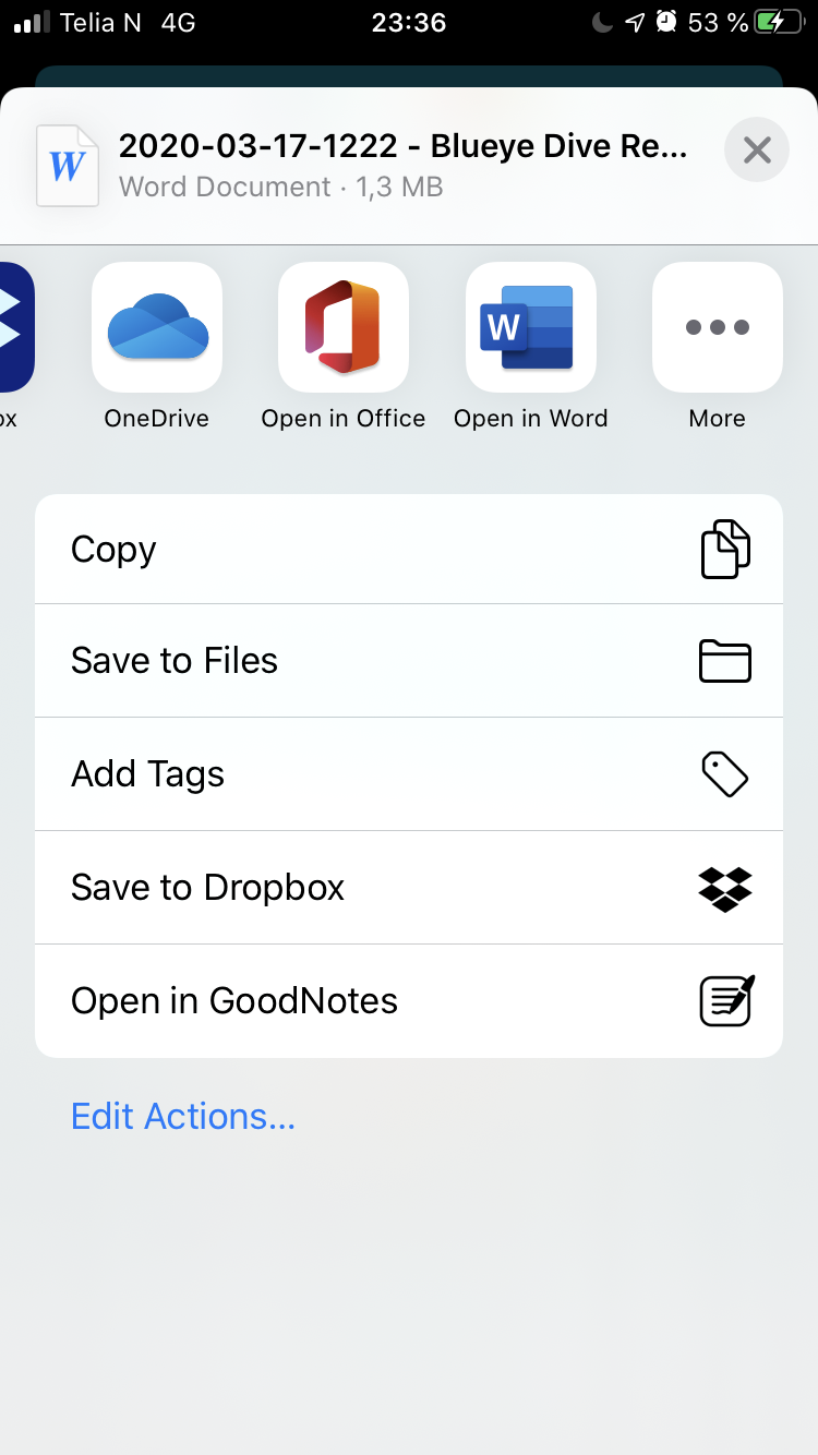 iOS Screenshot of sharing Word report