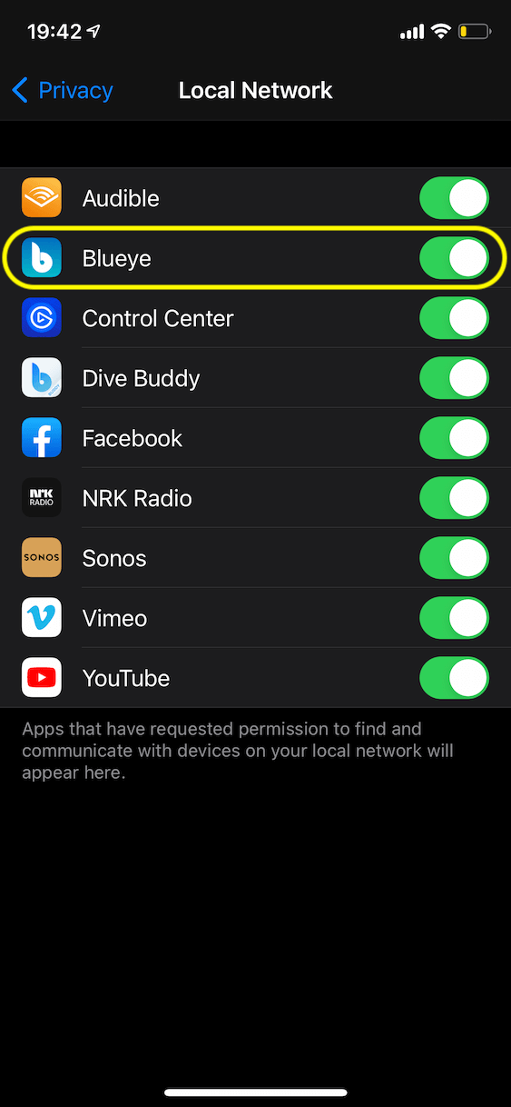 iOS Settings - Privacy - Local Network